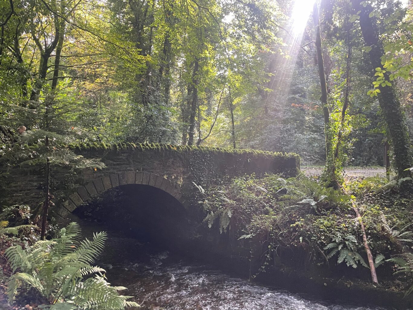 One of the bridges over the river at Dun a Rí Forest Park