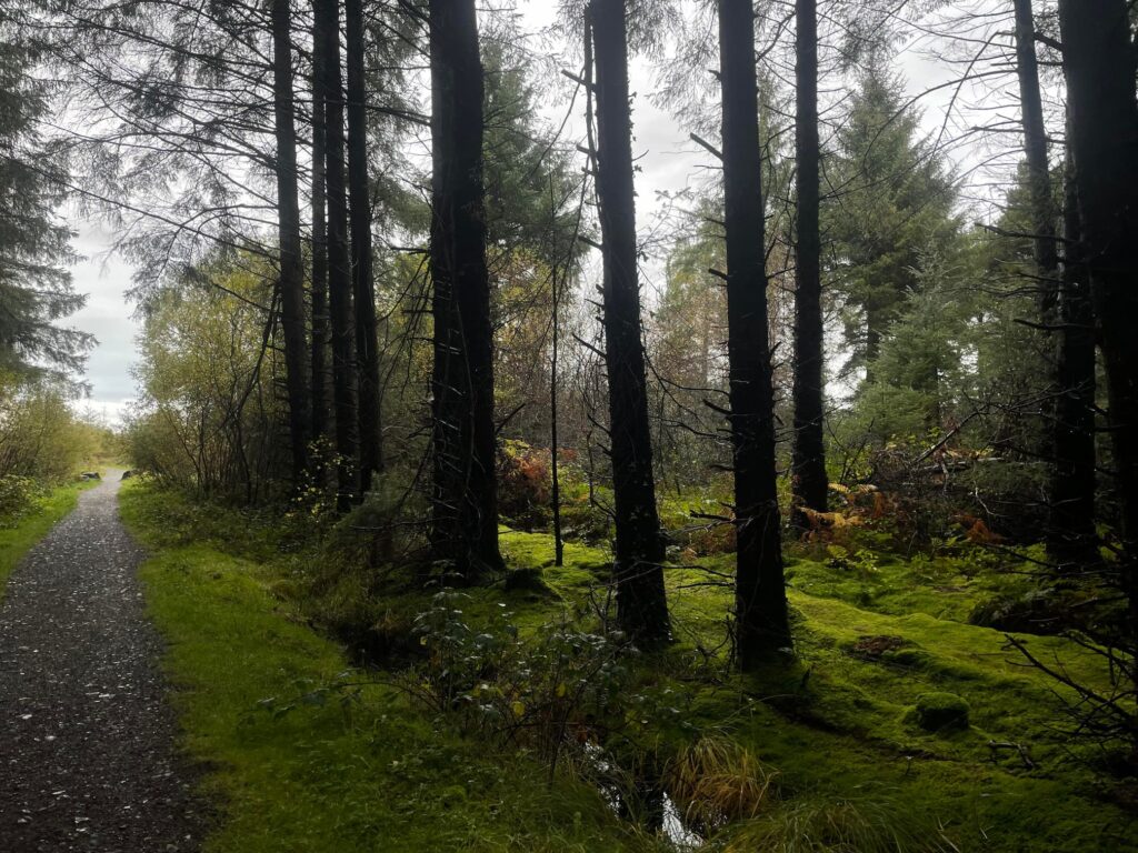 Jamestown Bog