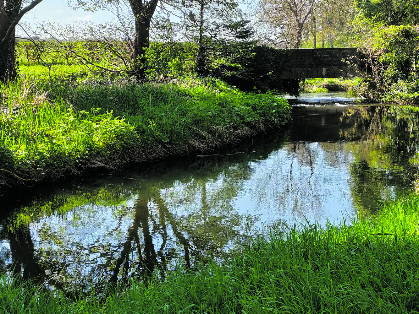 Dalgan park, Navan